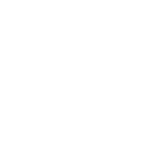 Hundom Services and Features Customization